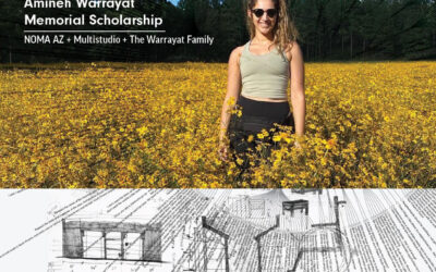 The Amineh Warrayat Scholarship is accepting applications!